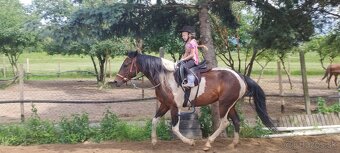 Jazdenie na koňoch - 3