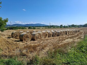 Pšenična slama na predaj - 3