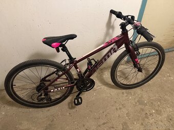 Dema Roxie 24 - 3
