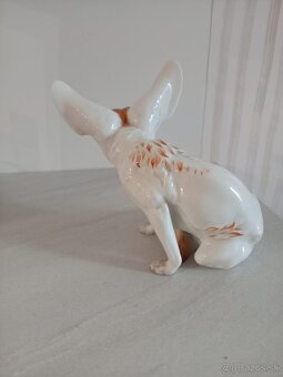 porcelánová púštna líška - 3