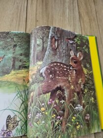 Moja najkrajsia kniha o zvieratkach - 3