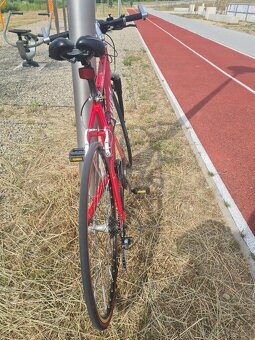 Cestný bicykel Genesis - 3