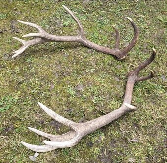 Parozie.patohy.zhody.trofeje - 3