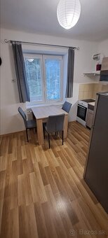 1 izbový byt na prenájom - 3