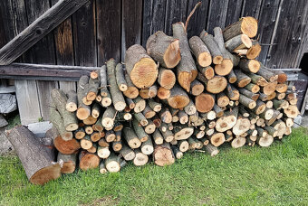 Mirabelkové drevo na údenie - kvalita - 3