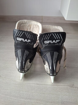 Korčule Graf, velkost 31 - 3