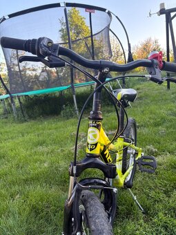 Kellys Lumi 50 20” - 3