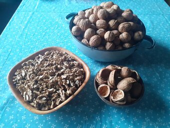 Vlašské orechy lúpané bio kvalita - 3