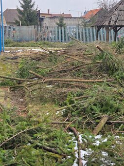 Darujem drevo za odvoz - 3