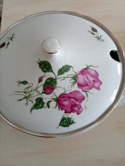 Terina a omáčnik - 3