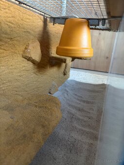 Terarium / akvarium - 3