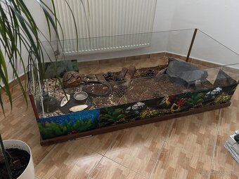 Terárium - 3