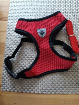 Postroj na psíka - 3