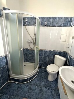 Prenájom pekná garsónka, Dostojevského rad, Bratislava I. St - 3