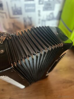 Harmonika Lignatone - 3