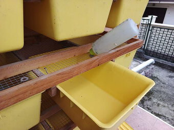 Regál z T3 z bedňami a mrazené hlodavce - 3