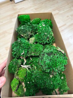 Stabilizovaný mach - 3