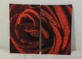 Dvojdielny obraz na plátne - Červená ruža - 3