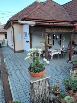 Na predaj 3 izbový RD s krásnym pozemkom len 6 km od Hlohovc - 3