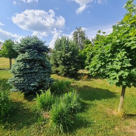 REZERVOVANÉ LUXUSNÝ APARTMÁNOVÝ DOM 350 M2 - 3