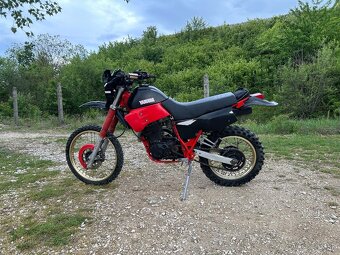 Predam Yamaha XT 600 - 3