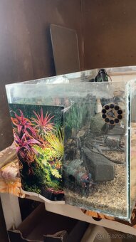Akvárium+príslušenstvo - 3