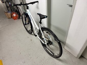 KTM Life One 2019 - 3