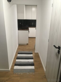 Prenajom 1,5 izboveho bytu - 3