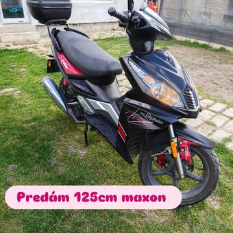 Skúter maxon ardour - 3