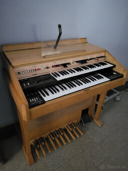 Delicia Vega, varhany, organ - 3