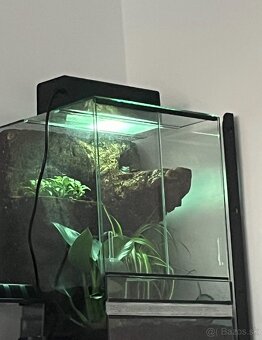 Terárium s 3D stenou - 3