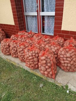 Predám zemiaky - 3