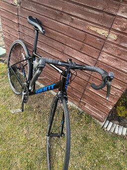 Giant Contend 2021 - 3