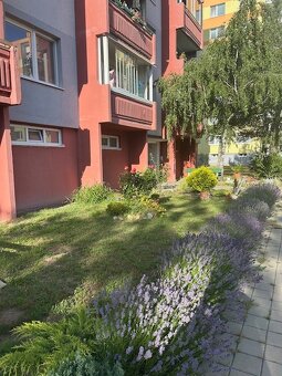 Prenájom 3 iz.byt Ľ.Fullu 3 samostatné izby Malacky - 3