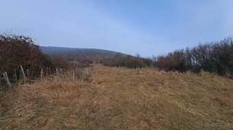 pozemok vinohrad Hrušov, 1361m2 - 3