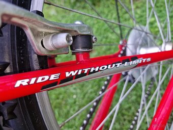 DETSKY BICYKEL DEMA ISEO vhodny CCA od 8 do 10rokov - 3