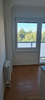 Pronájem bytu 1+1 43 m² - 3