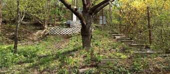 Záhrada Ťahanovce - 3