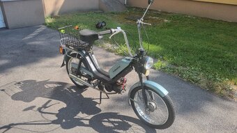 Babetta - 3