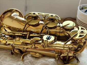 Saxofon Stewart Ellis Elite - 3