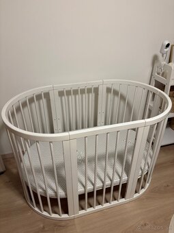 Rastúca postielka - 3