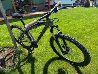 Scott Roxter S - 3