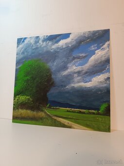 Akrylové obrazy 50x30 3 - 3