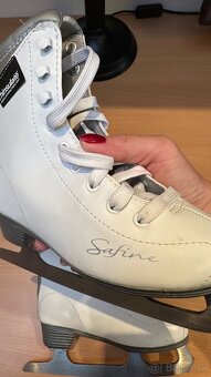 Korcule na lad 31 - 3