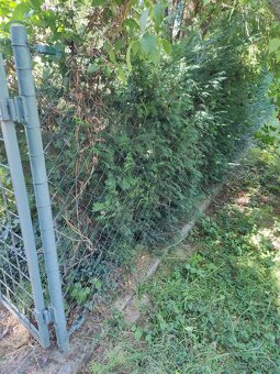 Fe trubky na ohradu,alu plech - 3