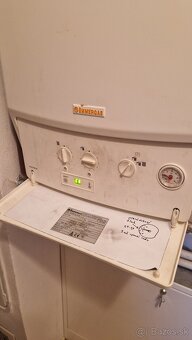 Predam Immergas victrix - 3