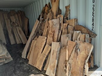 3 ročne orechové foršne - 3