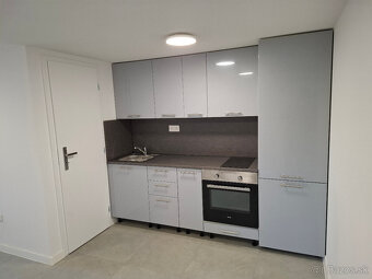 Samostatné bývanie - 1 izb byt Zlaté piesky s pozemkom 250m2 - 3
