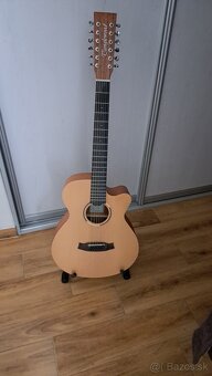 12 strunova gitara - 3