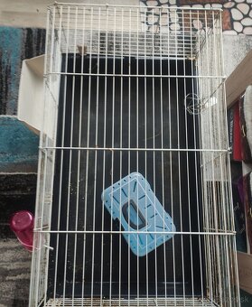 Klietka pre morča alebo zajaca - 3